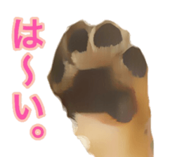 13592802