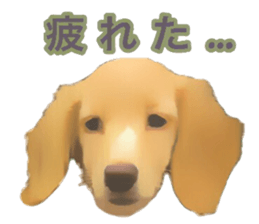 13592805