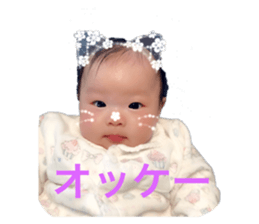 136042029