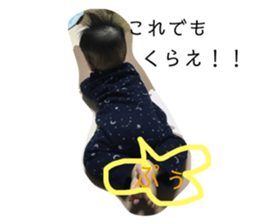 136072674