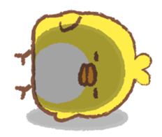 136155
