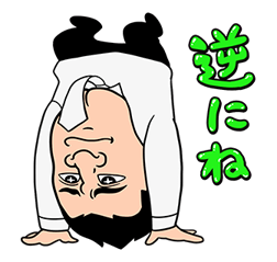 13623992