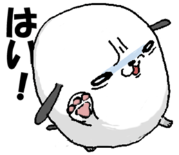 1362636
