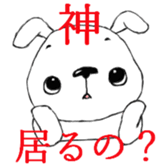 13644097