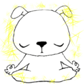 13644105