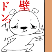 13644113