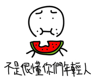 13647516