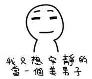 13647537