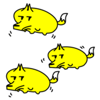 13655189