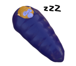 136580433