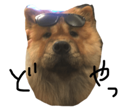 136725563