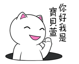 136804536