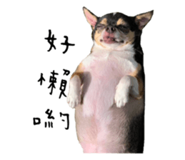 136814193