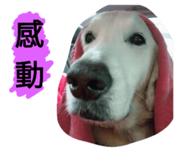 136869874
