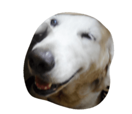 136869904