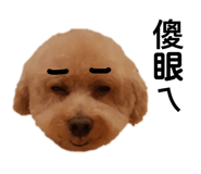 136935889