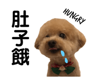 136935894
