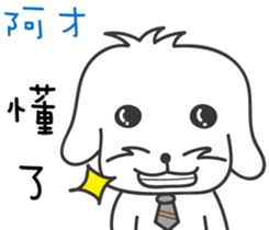 136986877