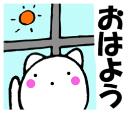 13700262