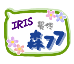 137013234