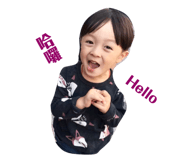 137047385
