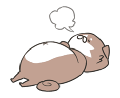 13705249