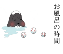 137273838