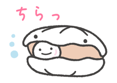 13746633
