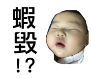 137693330