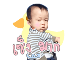 137785809