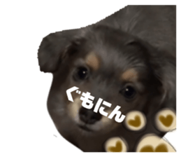 137885970