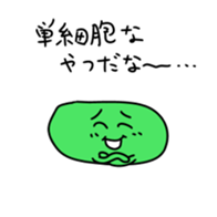 13802081