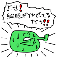 13802083