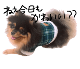 138047391