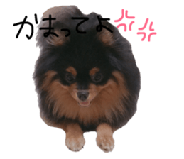 138047392