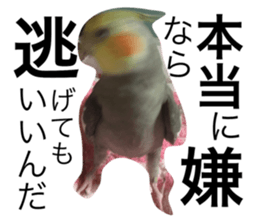 138243310
