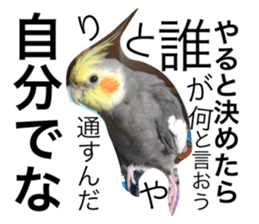 138243312