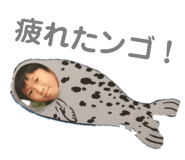 138246725