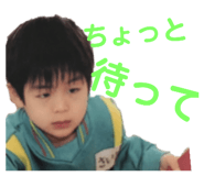 138246733