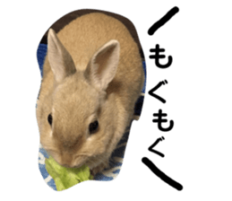 138331503