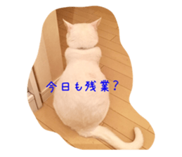 138472020