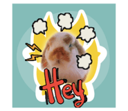 138475360