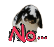 138475364
