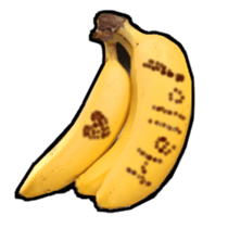 13848648