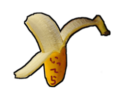 13848653
