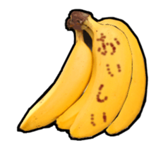 13848662