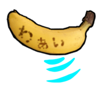 13848664