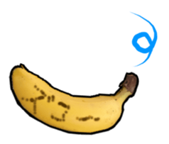 13848665