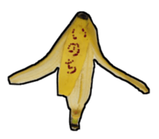 13848668