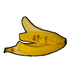13848669